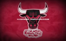 米兰体育APP|久尔杰维奇赛后坦言，败给强劲对手让球队定位更清晰